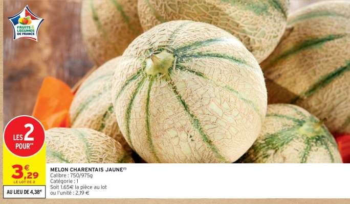 MELON CHARENTAIS JAUNE