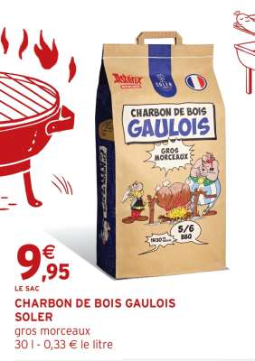 CHARBON DE BOIS GAULOIS “SOLER”