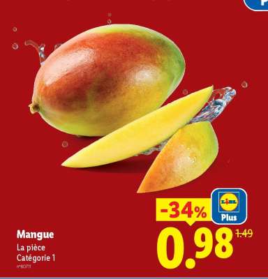 Mangue