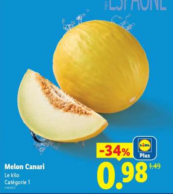 Melon Canari