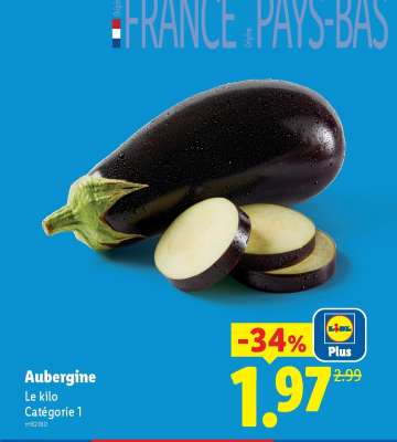 AUBERGINE