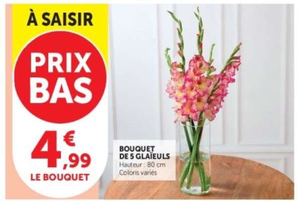 Bouquet de 5 glaïeuls