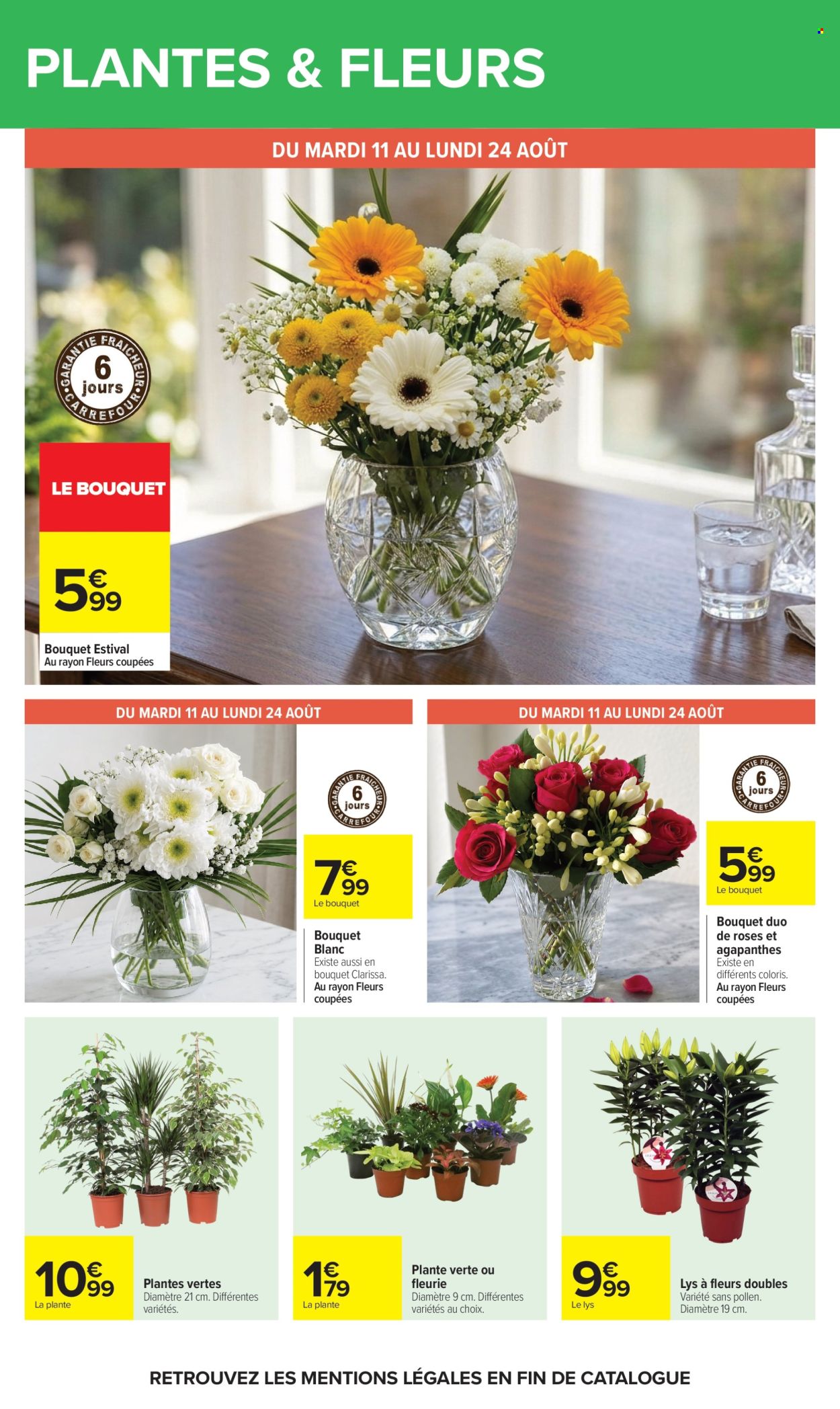 Catalogue Carrefour Hypermarchés - 11/08/2026 - 24/08/2026. Page 54