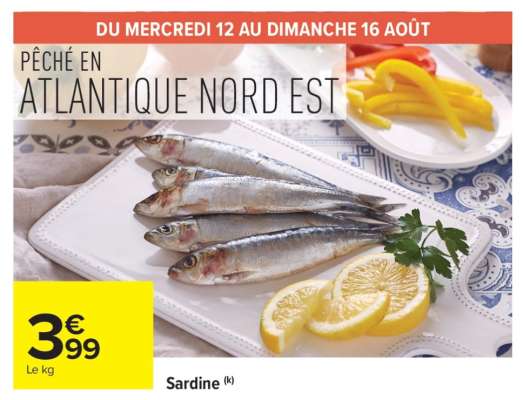 SARDINE