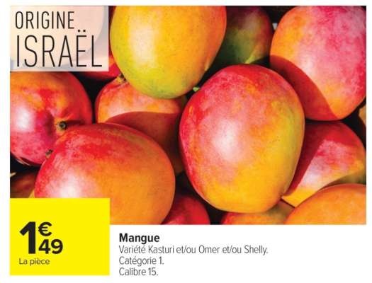 Mangue