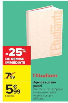 Agenda scolaire pastel