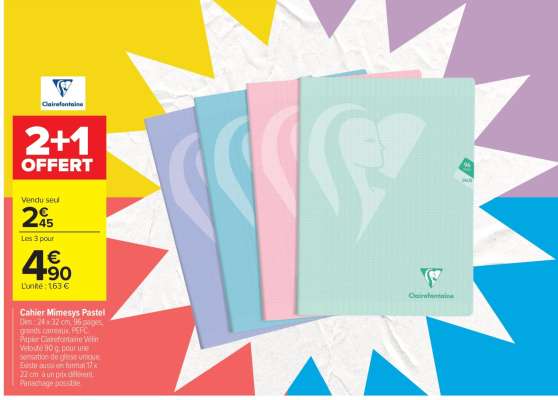 Cahier Mimesys Pastel