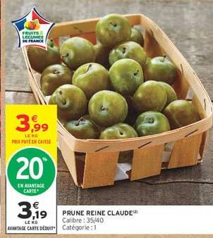 Prune reine claude