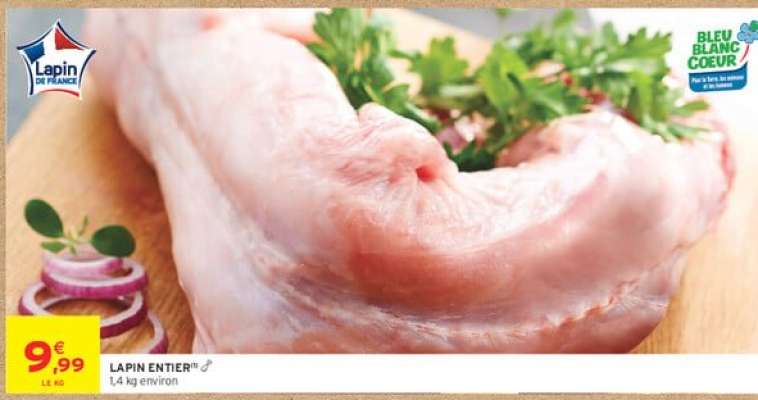 LAPIN ENTIER