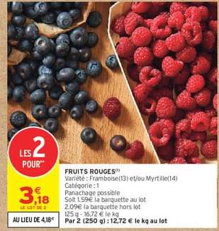 FRUITS ROUGES