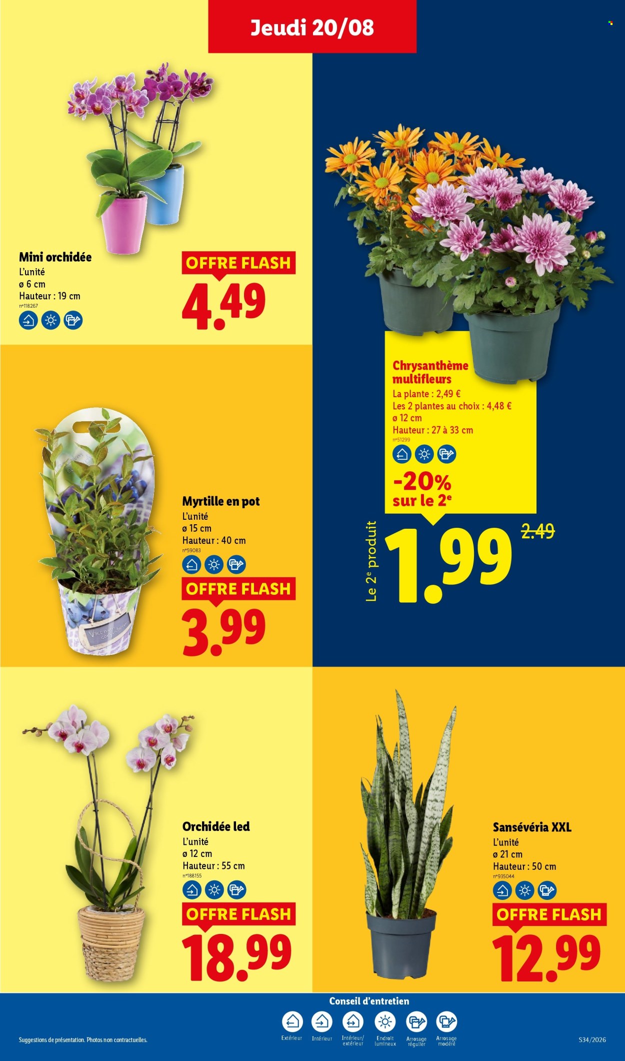 Catalogue Lidl - 20/08/2026 - 26/08/2026. Page 29