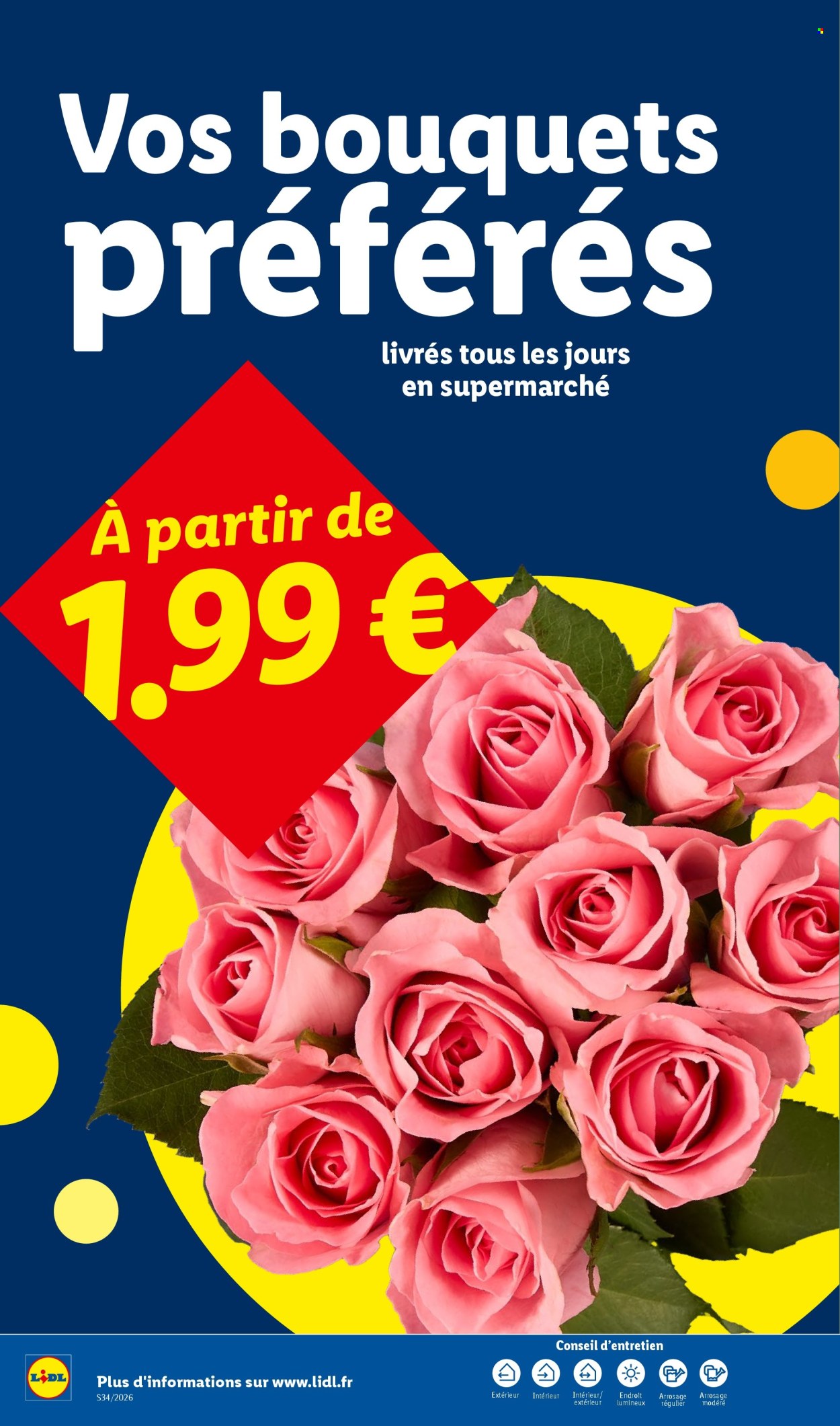 Catalogue Lidl - 20/08/2026 - 26/08/2026. Page 34