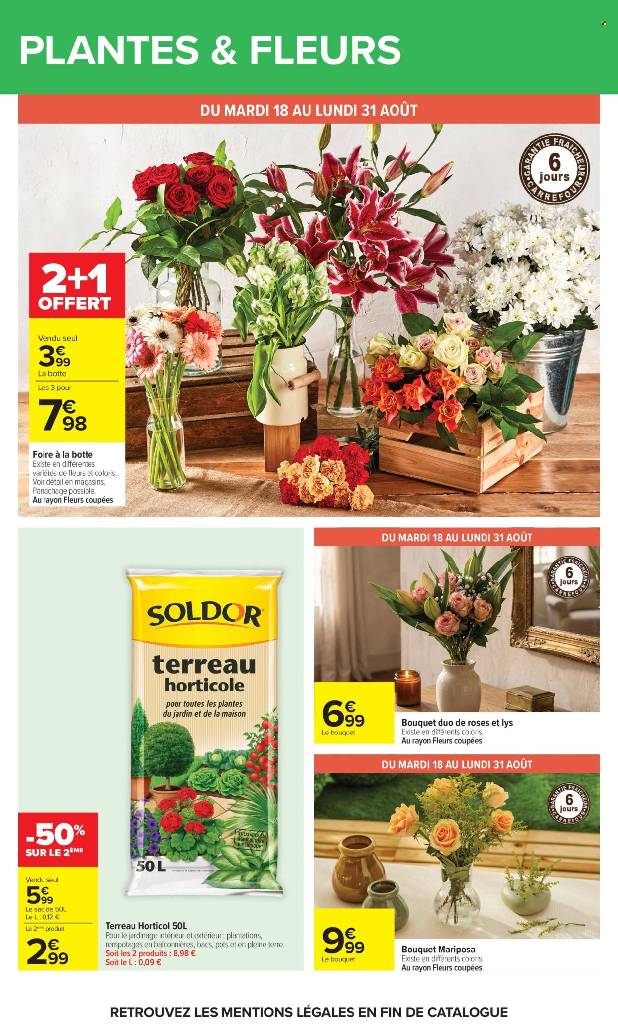 Catalogue Carrefour Hypermarchés - 17/08/2026 - 31/08/2026. Page 67