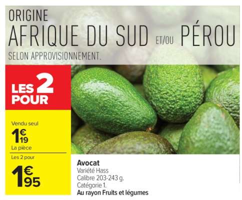 Avocat
