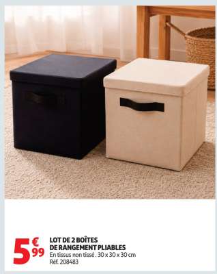LOT DE 2 BOÎTES DE RANGEMENT PLIABLES