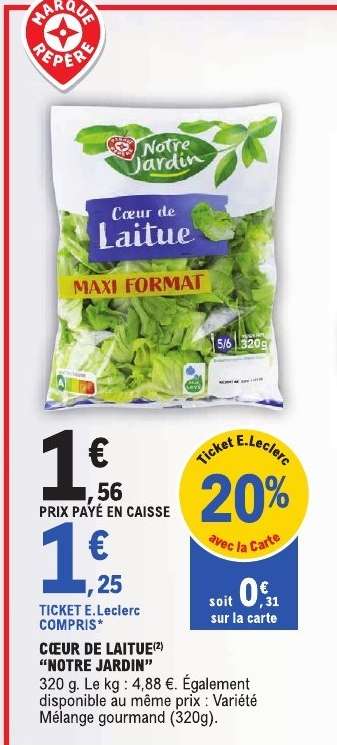 Cœur de Laitue 'Notre Jardin'