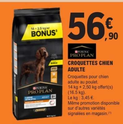 Croquettes chien adulte