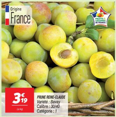 Prune reine claude