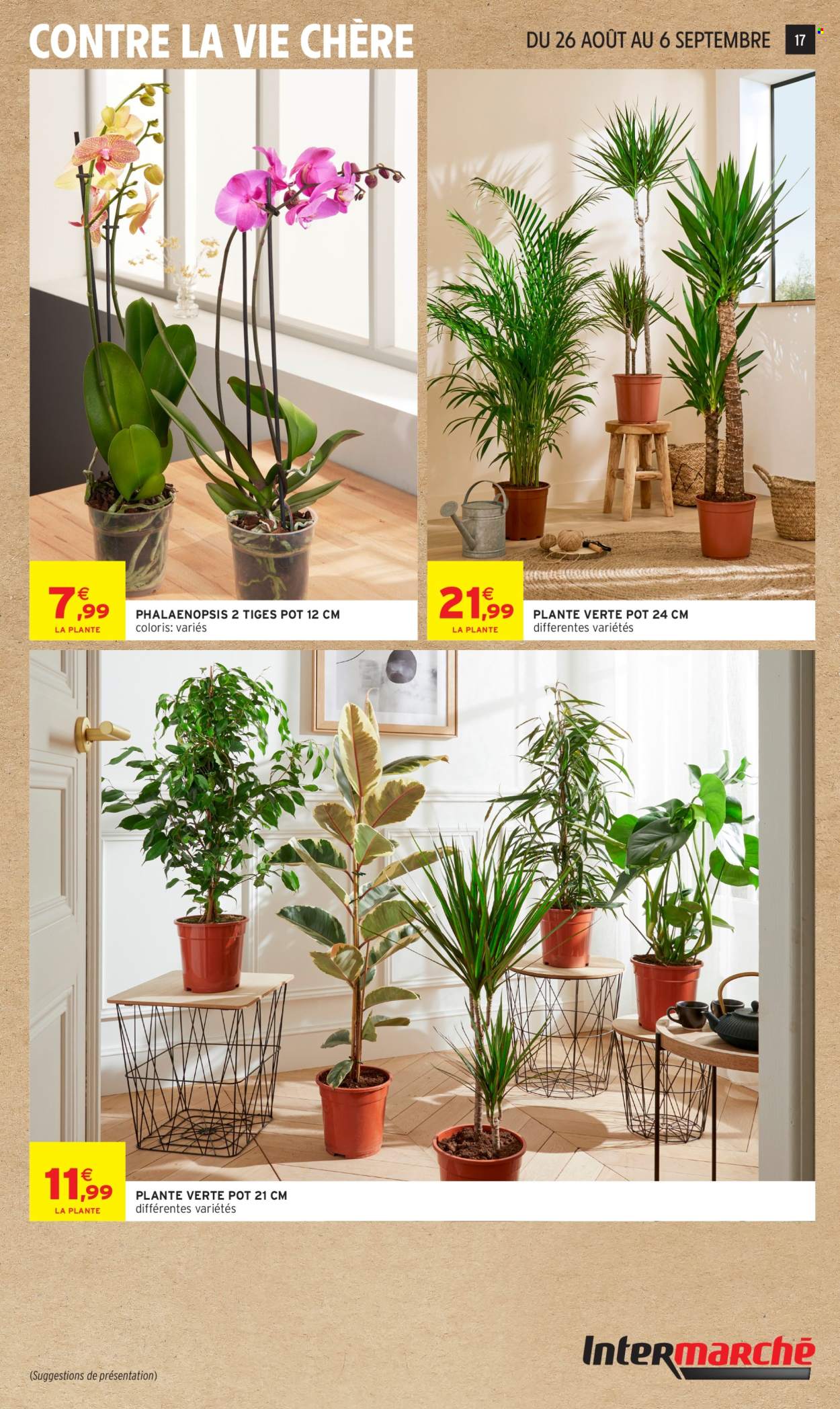 Catalogue Intermarché Super - 25/08/2026 - 06/09/2026. Page 17