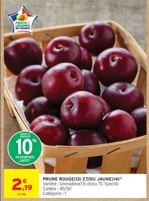 PRUNE ROUGE(13) ET/OU JAUNE(14)