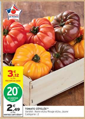 TOMATE COTELEE