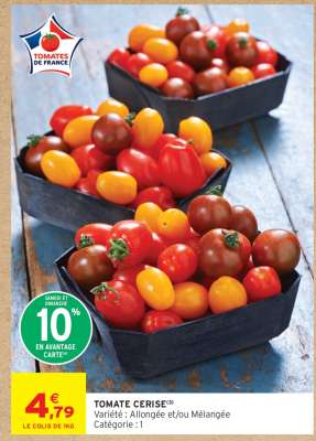 Tomate cerise