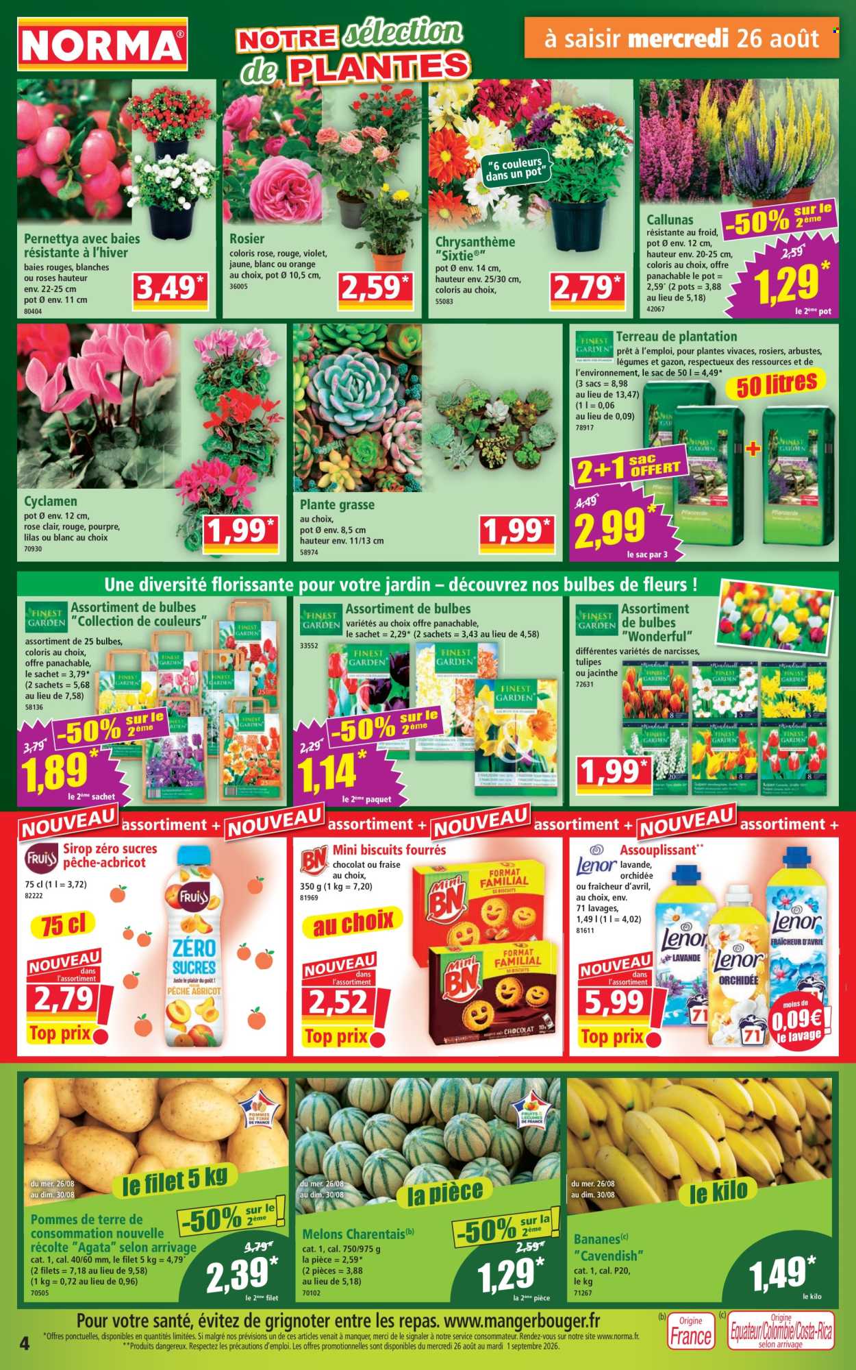 Catalogue Norma - 26/08/2026 - 01/09/2026. Page 4