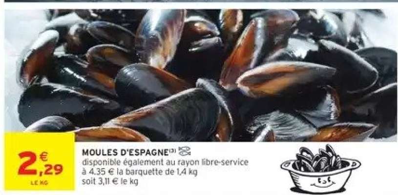MOULES D'ESPAGNE
