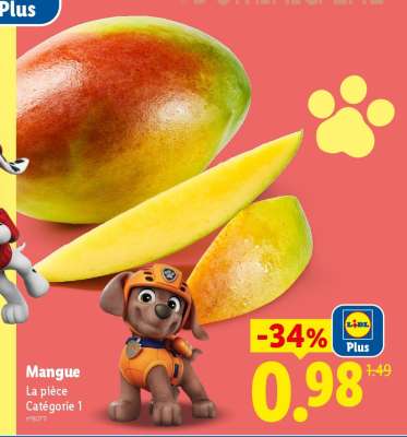 Mangue