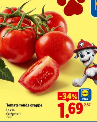 Tomate ronde grappe