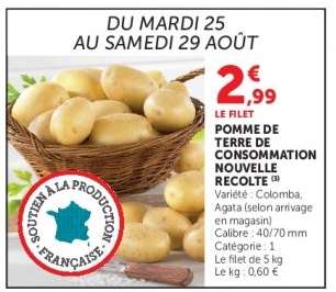 Pomme de Terre de Consommation Nouvelle Recolte