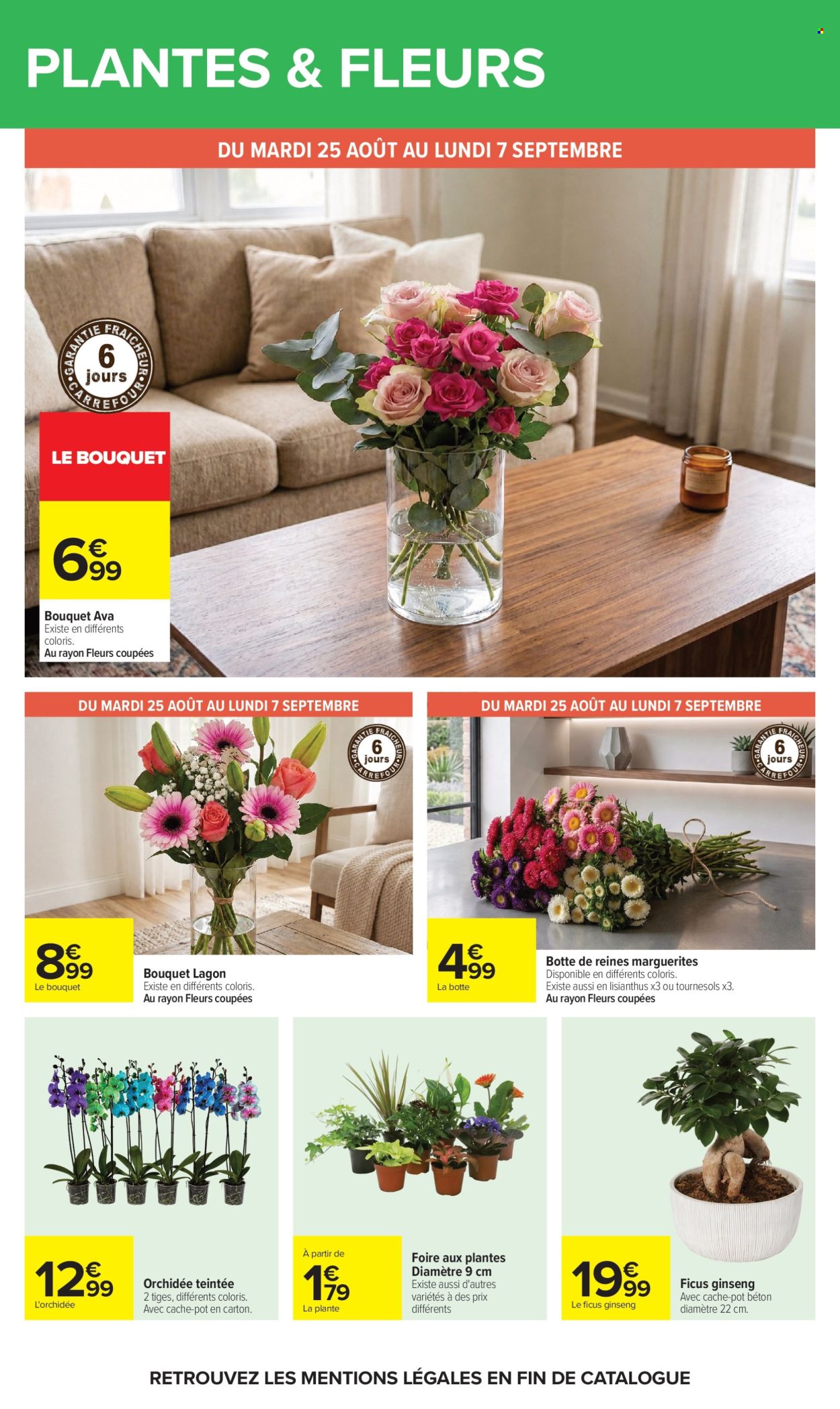 Catalogue Carrefour Hypermarchés - 24/08/2026 - 07/09/2026. Page 66