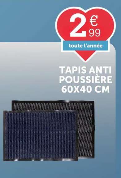 TAPIS ANTI POUSSIERE 60X40 CM