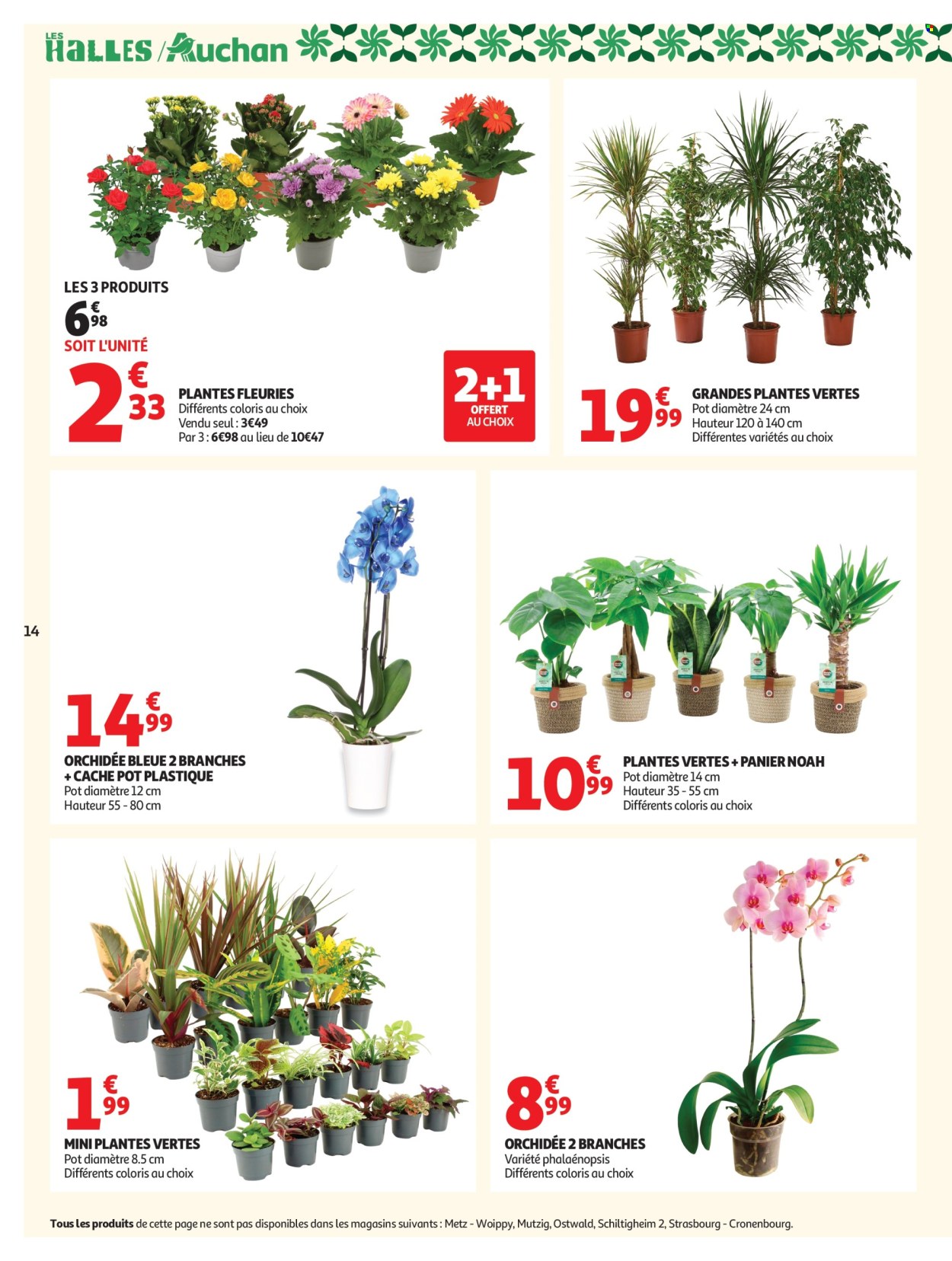 Catalogue Auchan - 25/08/2026 - 05/09/2026. Page 14
