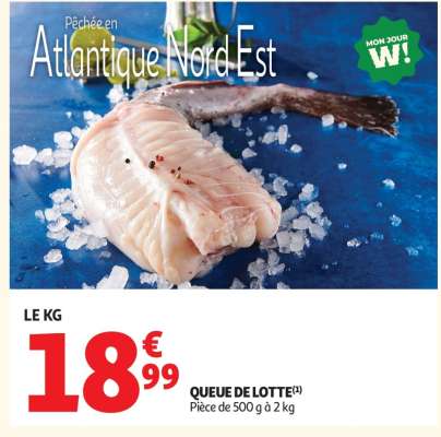 QUEUE DE LOTTE
