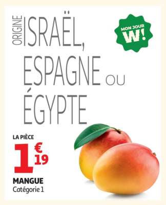 Mangue