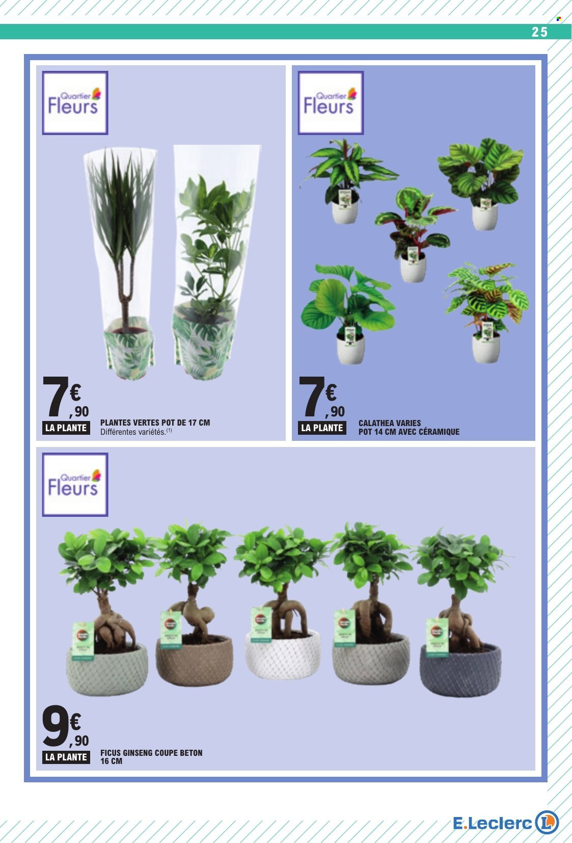 Catalogue E.Leclerc - 25/08/2026 - 05/09/2026. Page 25
