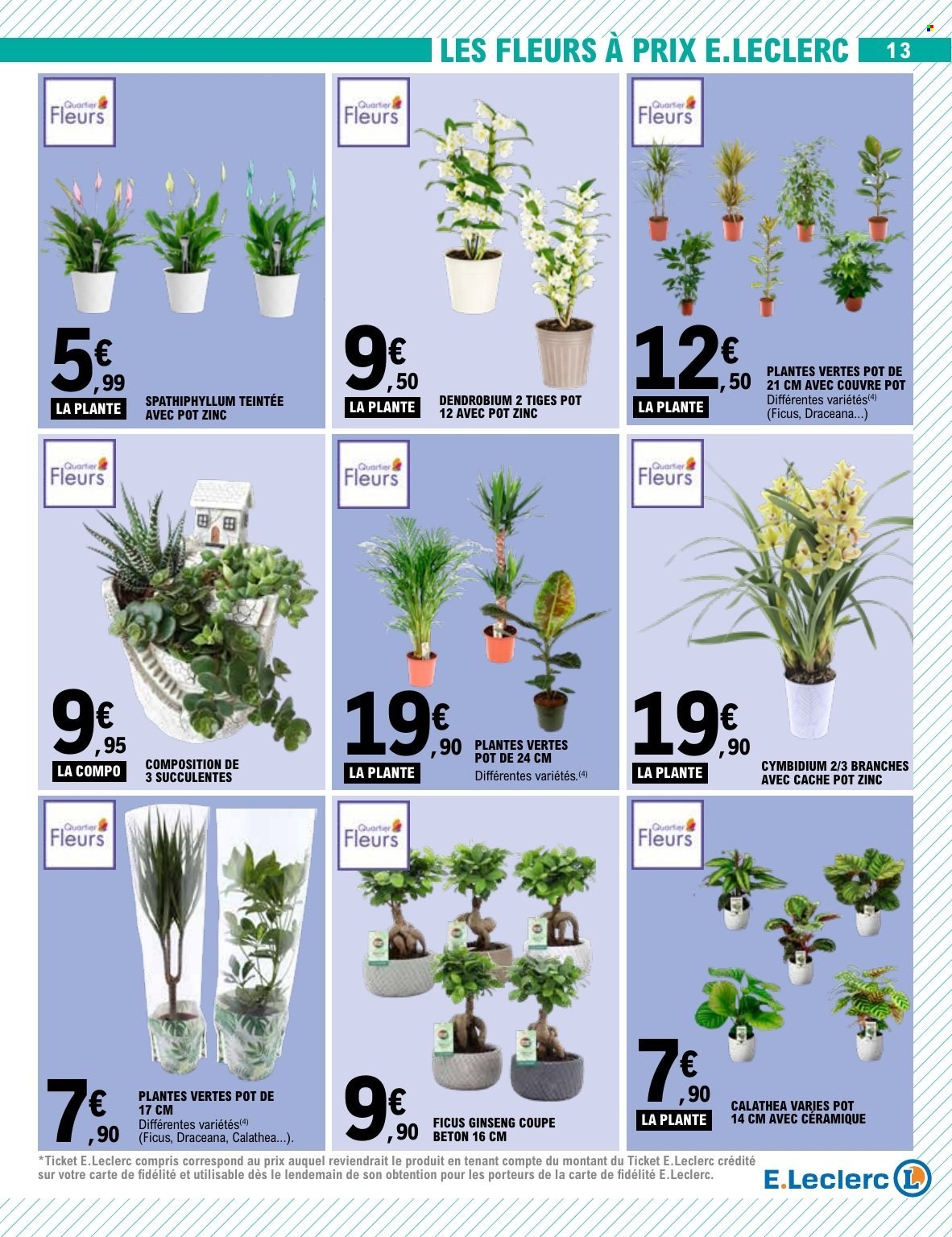 Catalogue E.Leclerc - 25/08/2026 - 05/09/2026. Page 13