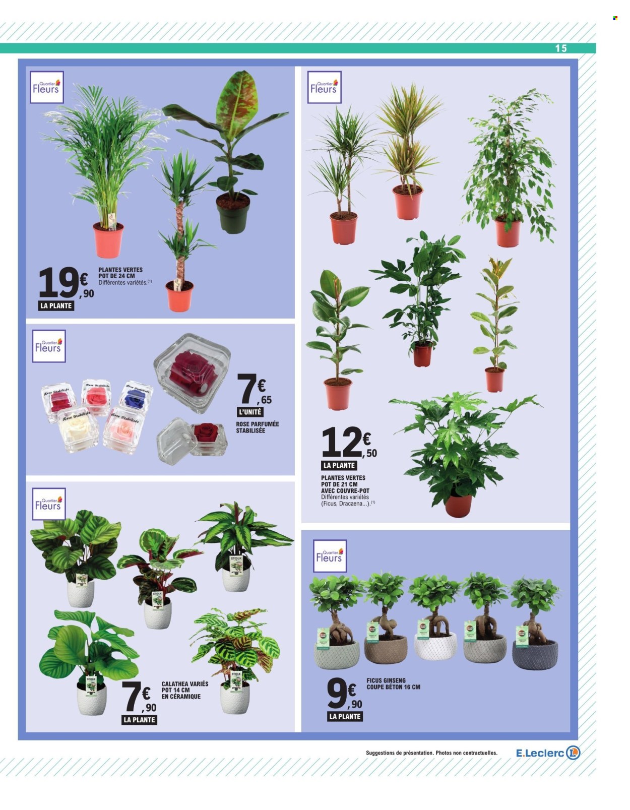 Catalogue E.Leclerc - 25/08/2026 - 05/09/2026. Page 15