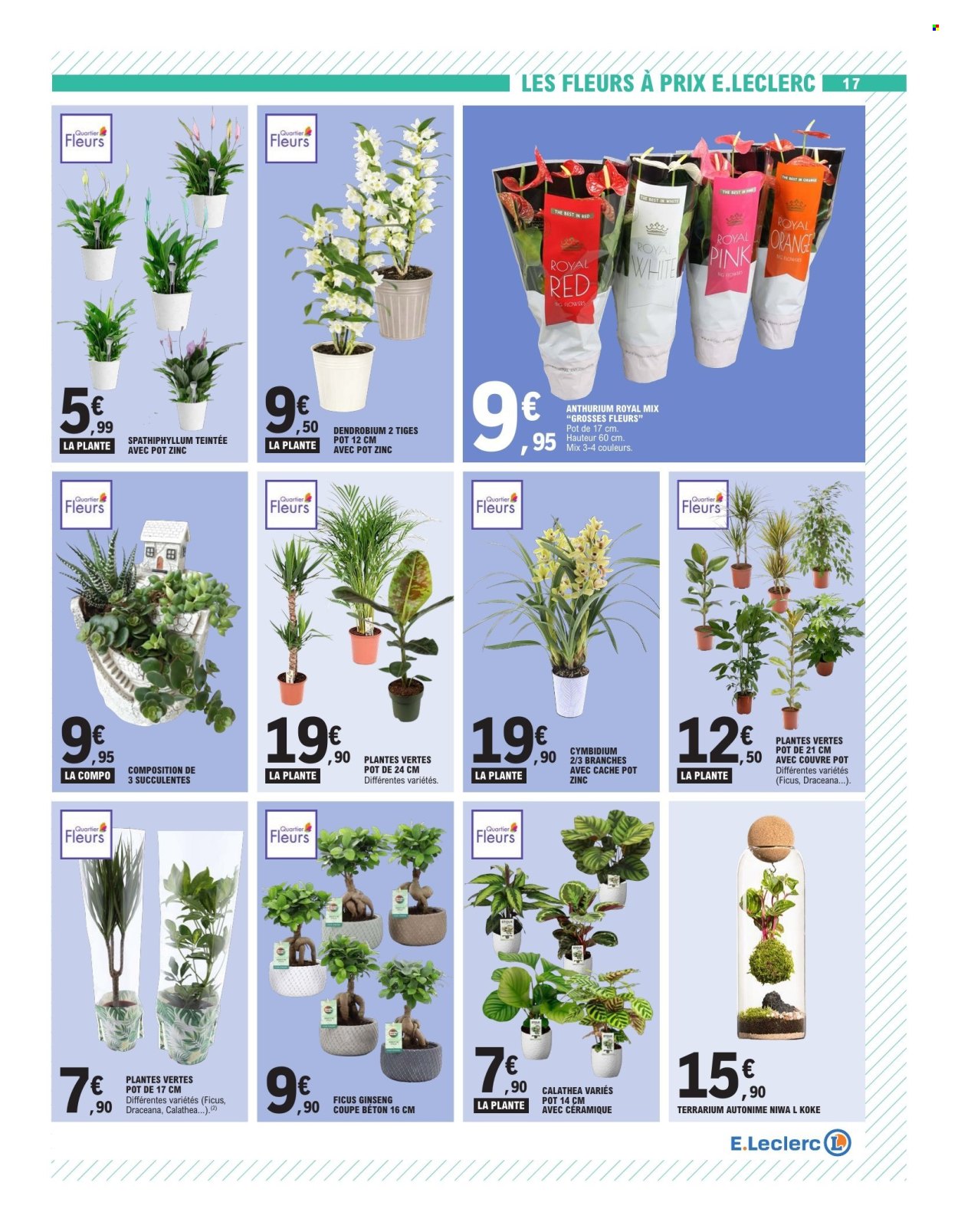 Catalogue E.Leclerc - 25/08/2026 - 05/09/2026. Page 17