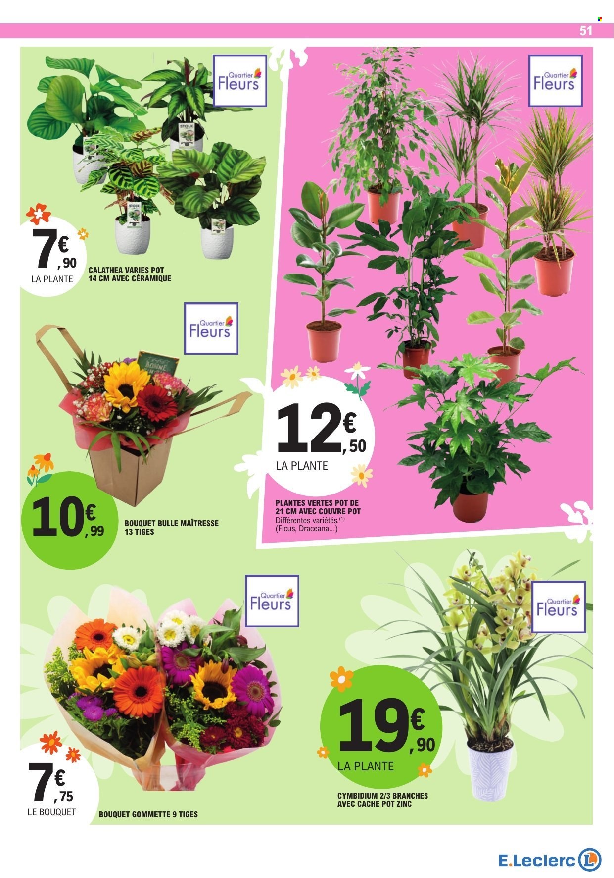 Catalogue E.Leclerc - 25/08/2026 - 05/09/2026. Page 51