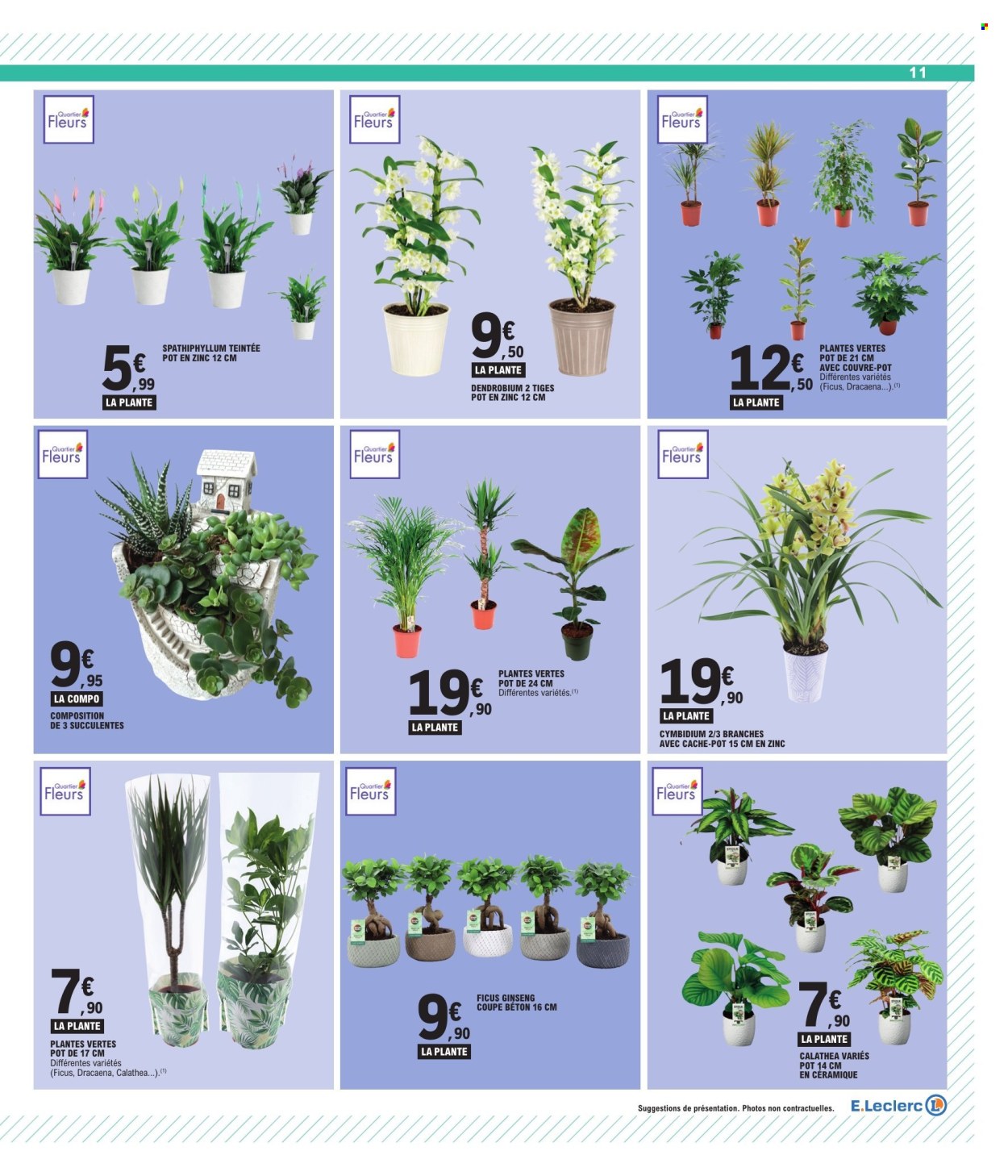 Catalogue E.Leclerc - 25/08/2026 - 05/09/2026. Page 11