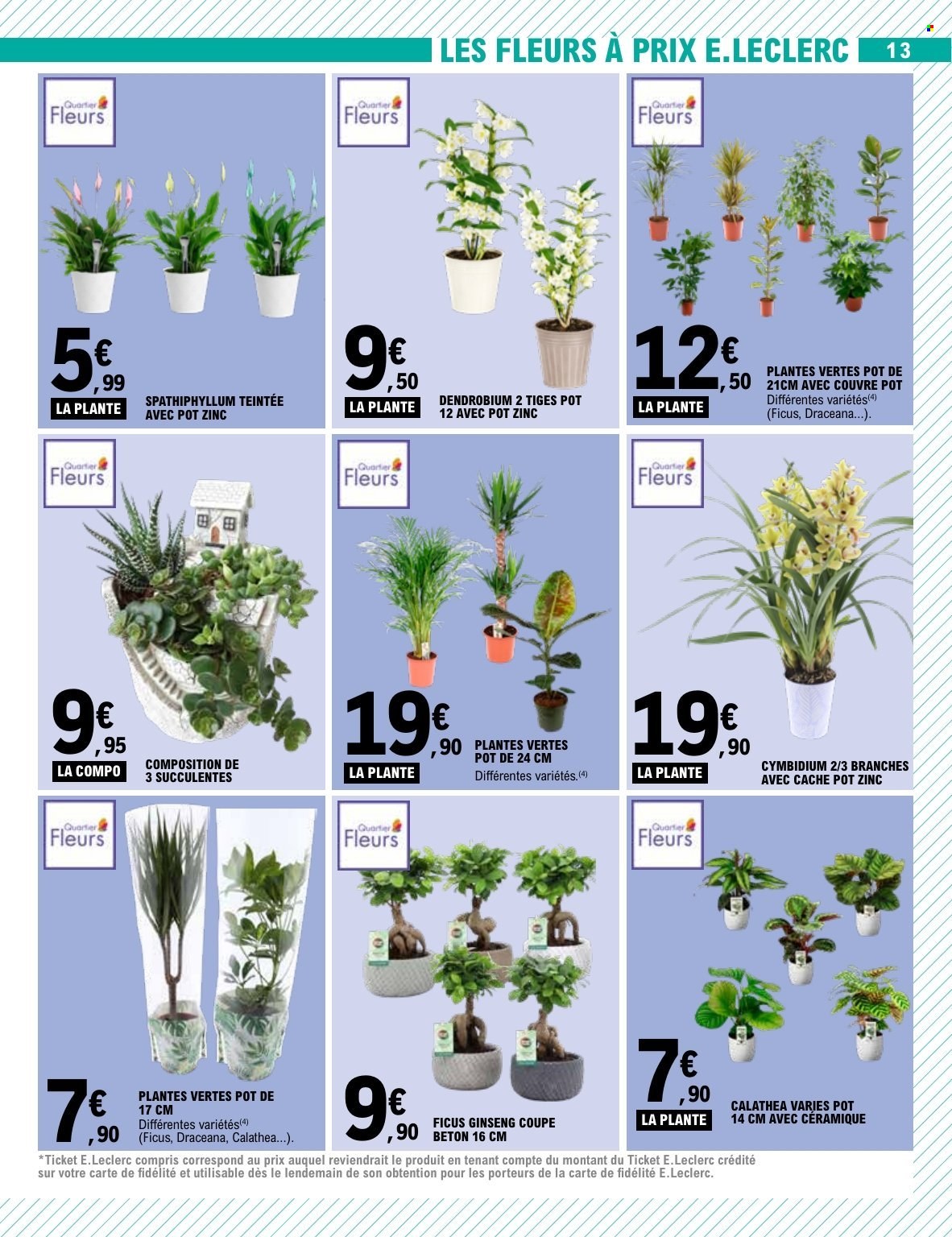 Catalogue E.Leclerc - 25/08/2026 - 05/09/2026. Page 13