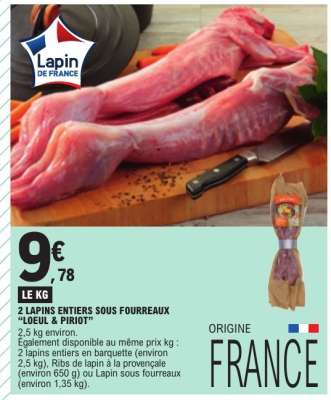 2 LAPINS ENTIERS SOUS FOURREAUX "LOEUL & PILIOT"