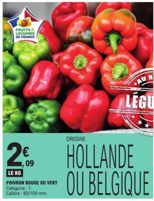 Poivron rouge ou vert