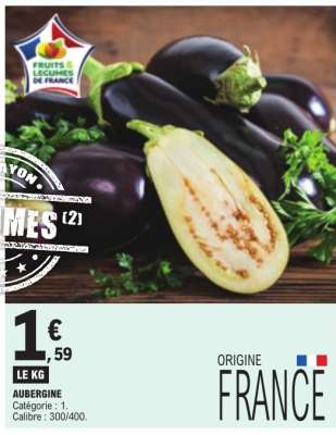 AUBERGINE