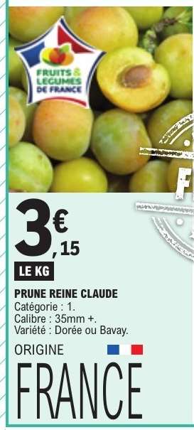 Prune reine claude