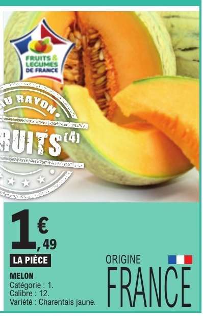 Melon