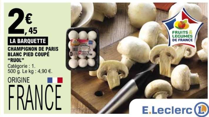 CHAMPIGNON DE PARIS BLANC PIED COUPÉ “RUOL”