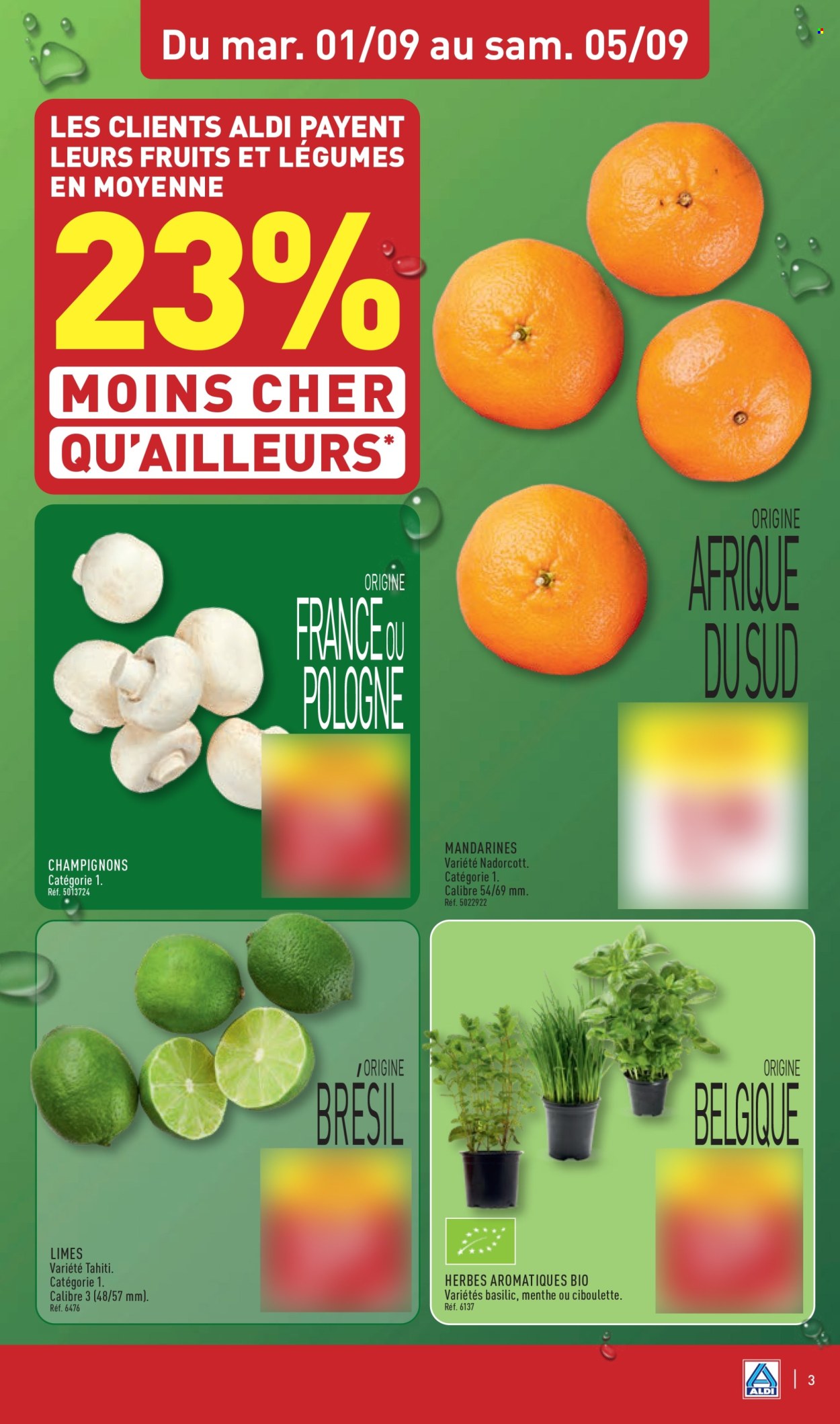 Catalogue ALDI - 01/09/2026 - 07/09/2026. Page 5